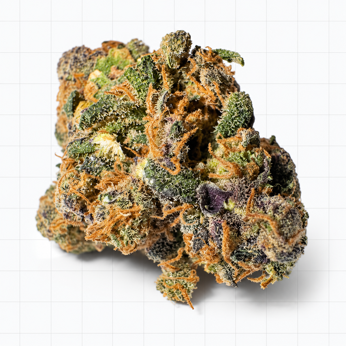 Gelato 41 — Fleur CBD Indoor
