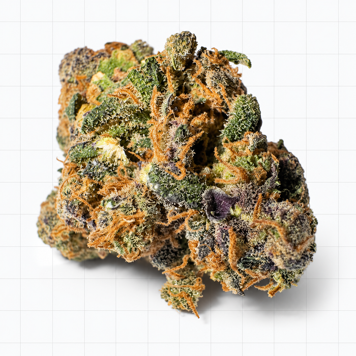 Gelato 41 — Fleur CBD Indoor